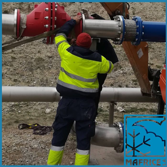 Mafrice forma parte de su estrategia empresarial